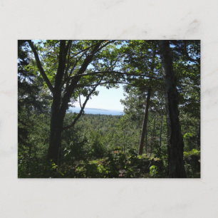 Carte Postale Vue estivale dans le parc national d'Acadia