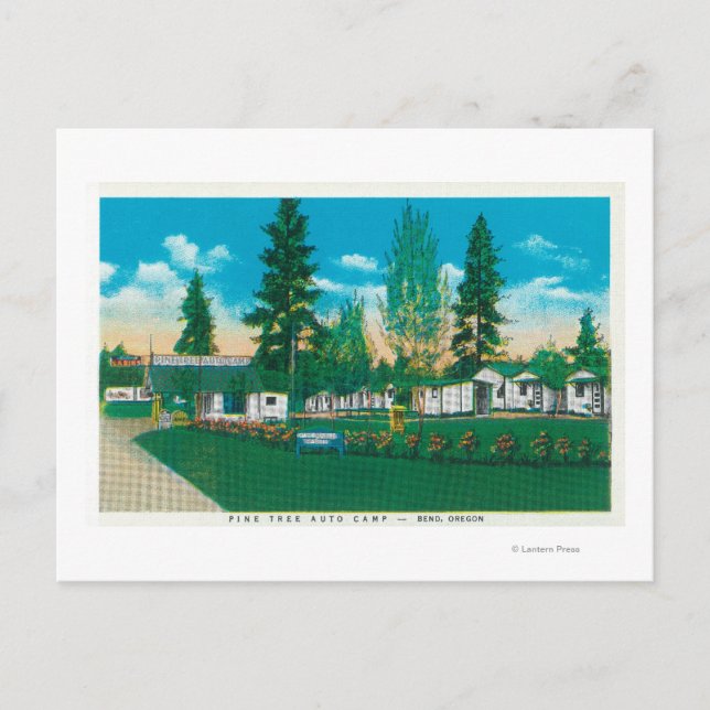 Carte Postale Vue extérieure du camp automatique de pin (Devant)
