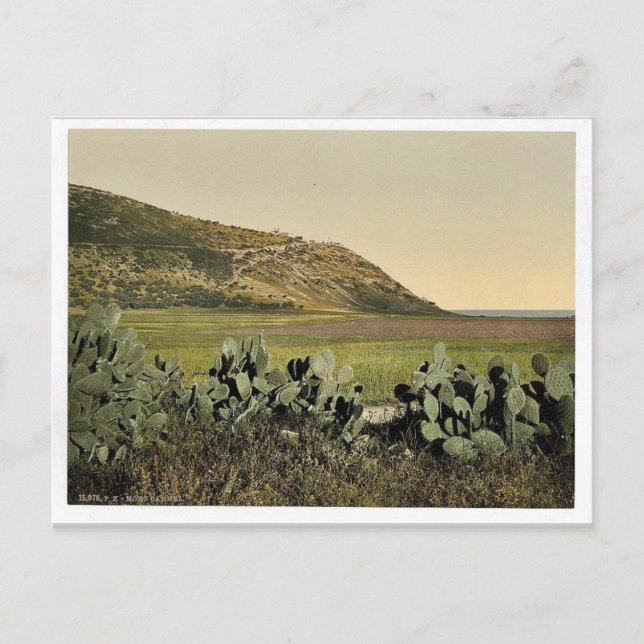 Carte Postale Vue générale, Mont Carmel, Terre Sainte (c.-à-d. I (Devant)