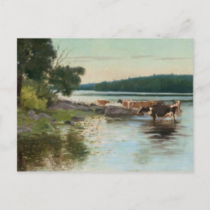 Carte postale Vue lac de Keinänen