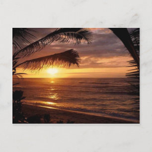 Carte Postale Vue mer