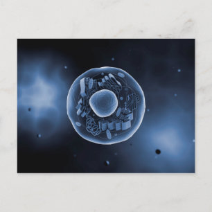 Carte Postale Vue Microscopique De La Cellule Animale 3