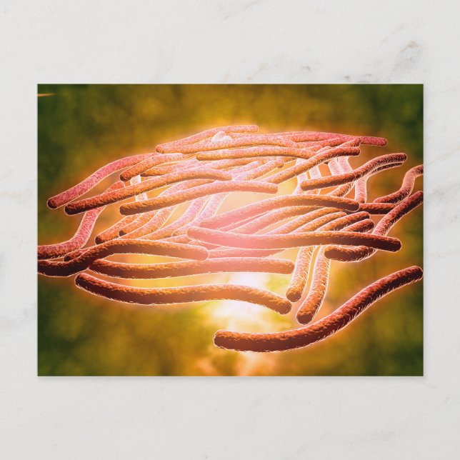 Carte Postale Vue Microscopique De Legionella Pneumophila 2 (Devant)