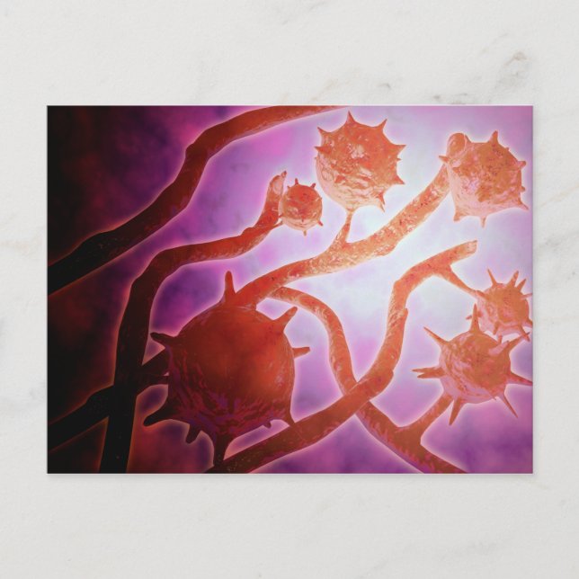 Carte Postale Vue Microscopique De L'Histoplasmose (Devant)