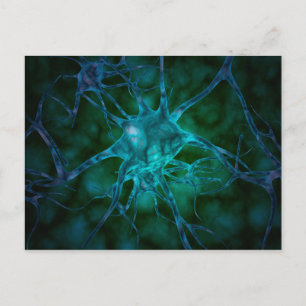 Carte Postale Vue Microscopique De Plusieurs Cellules Nerveuses 