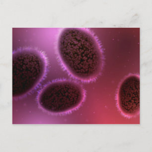 Carte Postale Vue Microscopique De Samllpox 2