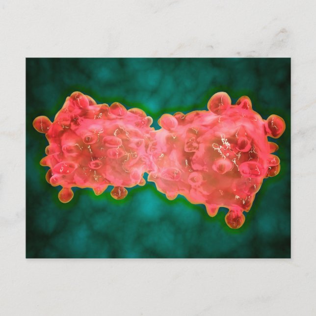 Carte Postale Vue Microscopique D'Une Cellule Leucémique (Devant)