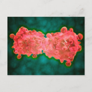 Carte Postale Vue Microscopique D'Une Cellule Leucémique