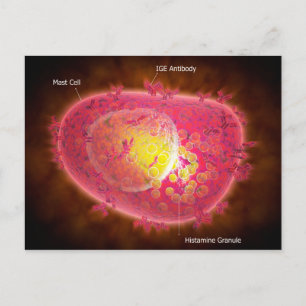 Carte Postale Vue Microscopique D'Une Cellule Mâle