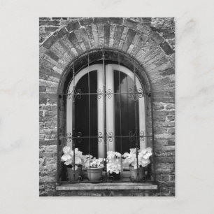 Carte Postale Vue noir et blanc des pots de fenêtre et de fleurs