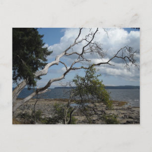 Carte Postale Vue océan