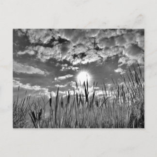 Carte Postale Vue oeil de canard