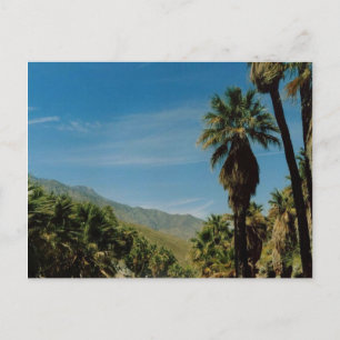Carte Postale Vue Palm Springs