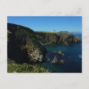 Carte Postale Vue panoramique de l'île d'Anacapa aux îles du dét