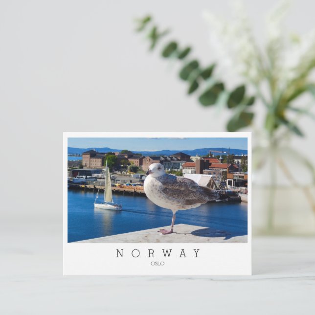 Carte Postale Vue panoramique d'Oslo, Norvège (Debout devant)