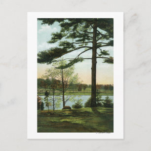 Carte Postale Vue pittoresque sur le réservoir de Chestnut Hill