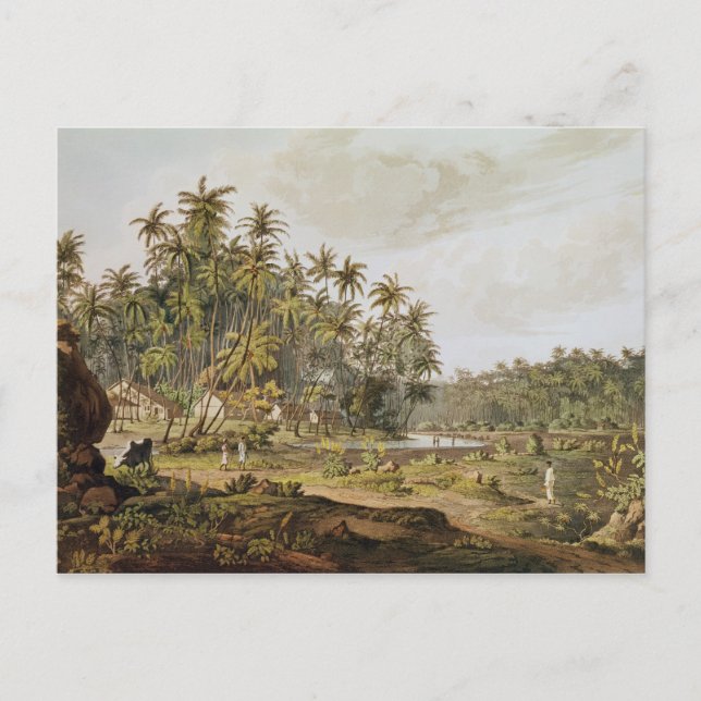 Carte Postale Vue proche de Point du Galle, Ceylan (Devant)