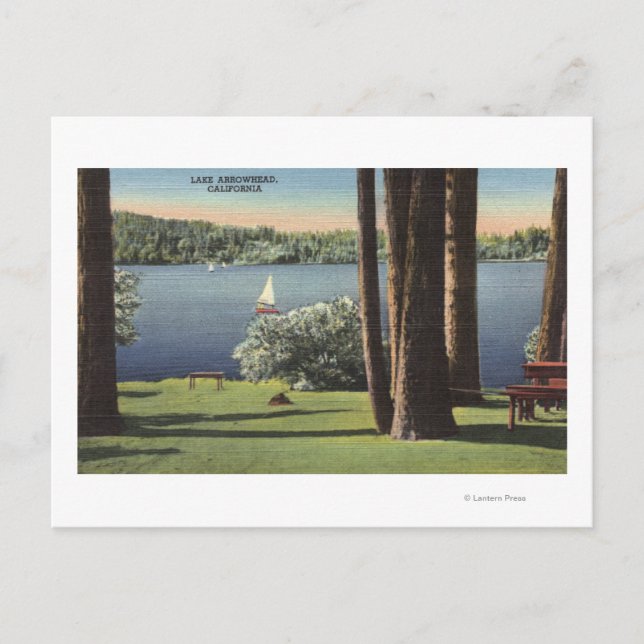 Carte Postale Vue sur Grassy Shore & Lake (Devant)