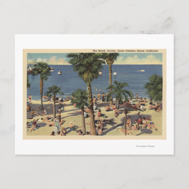 Carte Postale Vue sur la plage d'Avalon avec bains de soleil (Devant)