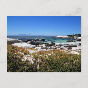 Carte Postale Vue sur la plage de Boulders et ses fameux pingoui