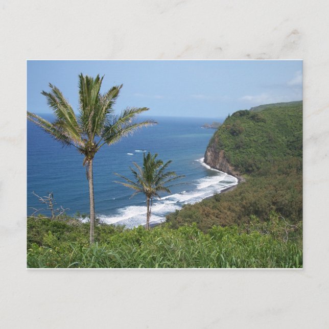 Carte postale Vue sur la vallée de Pololu (Devant)