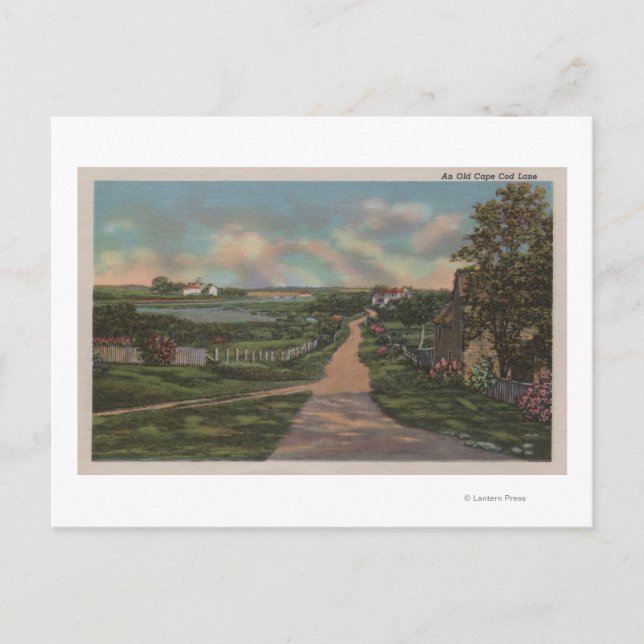 Carte Postale Vue sur la voie de Cape Cod (Devant)
