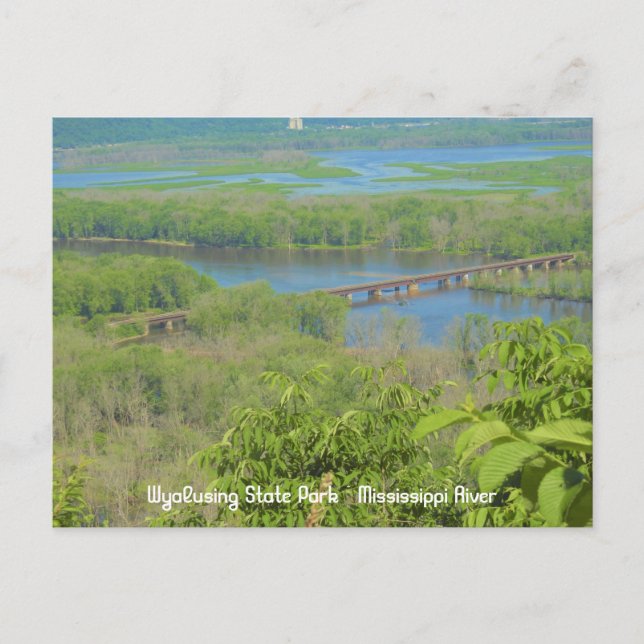 Carte Postale Vue sur le fleuve Mississippi depuis le parc d'éta (Devant)