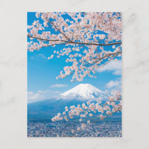 Carte Postale Vue sur le Mont Fuji aux fleurs de cerisiers
