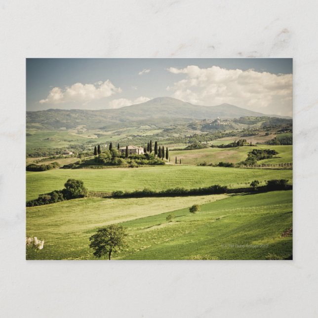 Carte Postale Vue sur le paysage toscan à ferme et 2 (Devant)