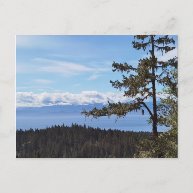 Carte Postale Vue sur les arbres de East Sooke, BC, Canada (Devant)