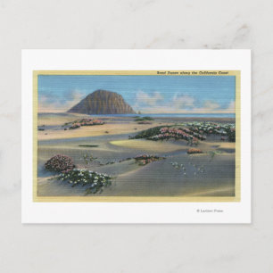 Carte Postale Vue sur les dunes de sable le long de la côte