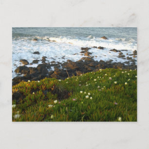 Carte Postale Vue sur les falaises de la mer à Crescent City