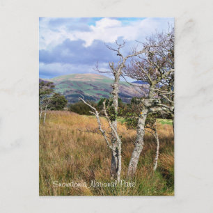 CARTE POSTALE VUES DES ALLES