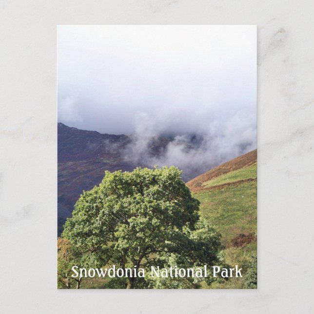 CARTE POSTALE VUES DES ALLES (Devant)