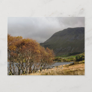 CARTE POSTALE VUES DES ALLES