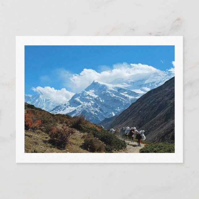 Carte Postale Vues du Népal sur le chemin au MONT EVEREST (Devant)