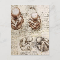 Vues d'un foetus sur Womb.jpg par Leonardo Vinci
