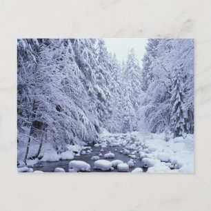 Carte Postale WA, Forêt nationale du Mont Baker-Snoqualmie,