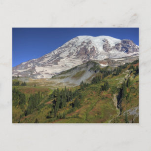Carte Postale WA, Parc national du mont Rainier, vue depuis le