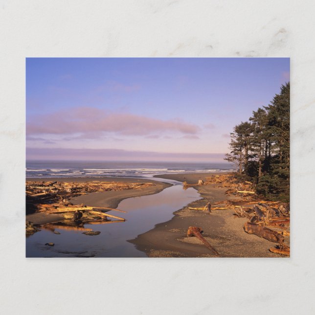 Carte Postale WA, Pôle olympique, Kalaloch Beach et Kalaloch (Devant)
