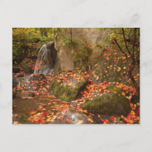 Carte Postale WA, Seattle, Washington Park Arboretum, Japonais