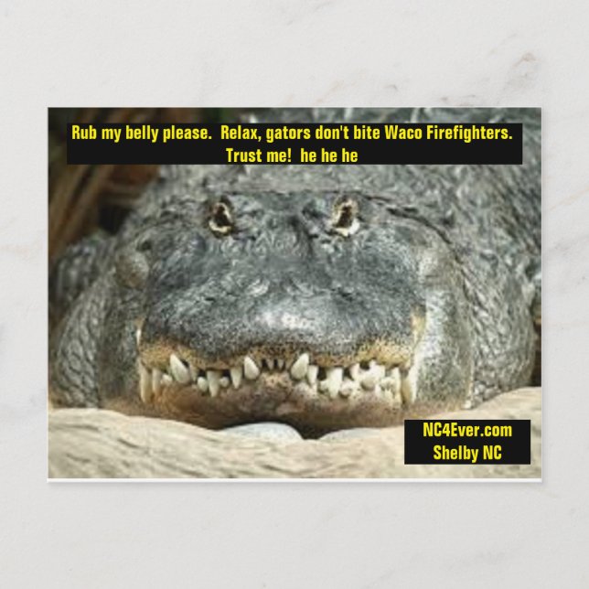 Carte postale Waco Firefighter (Devant)