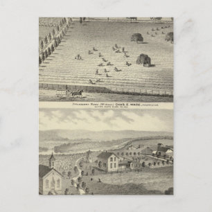 Carte Postale Wade ranch, résidence Weller