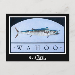 Carte postale Wahoo