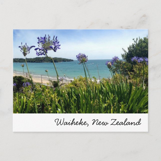 Carte postale Waiheke, Nouvelle-Zélande (Devant)