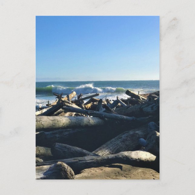 Carte Postale Waikiki Beach, cape Disappointment, Washington (Devant)