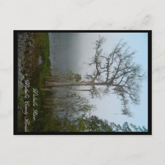 Carte postale Wakulla County Florida