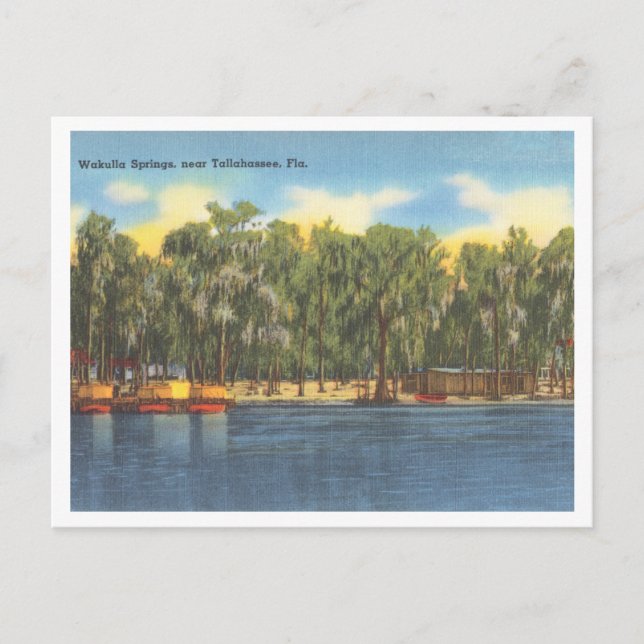Carte Postale Wakulla Springs Floride Vintage avec bateaux (Devant)