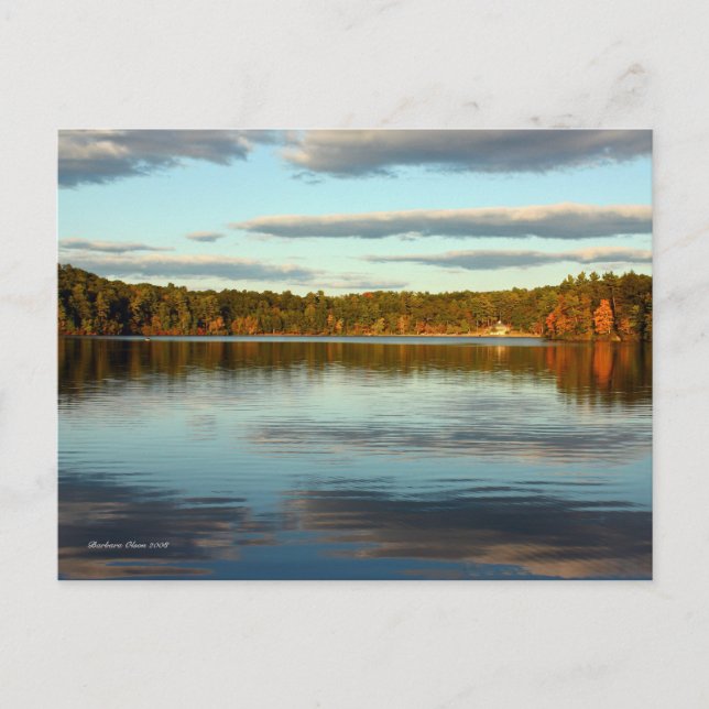 Carte postale : Walden Pond (Devant)