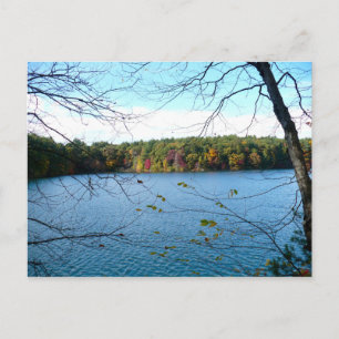 Carte Postale Walden Pond à l'automne